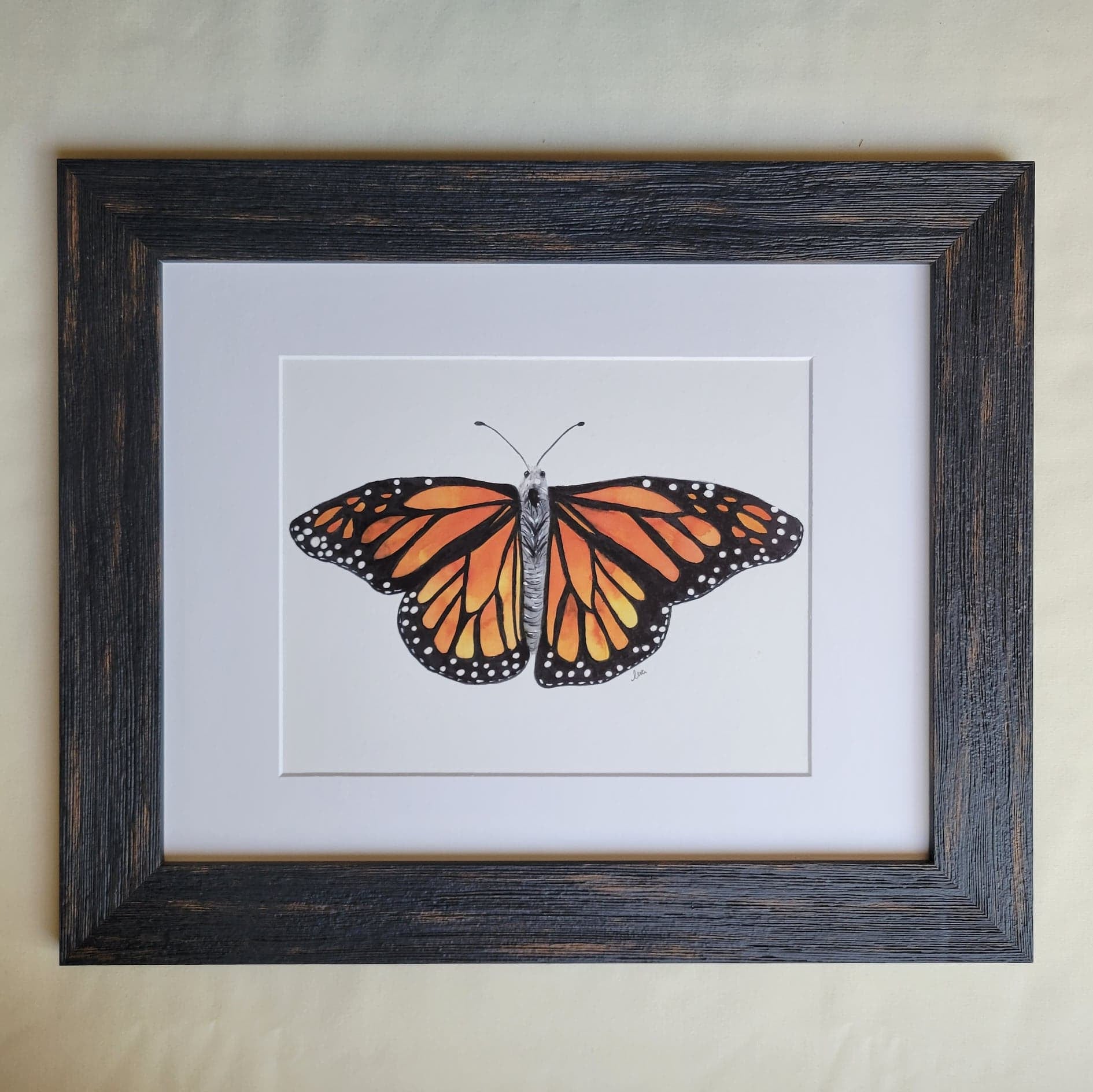 monarch butterfly watercolor